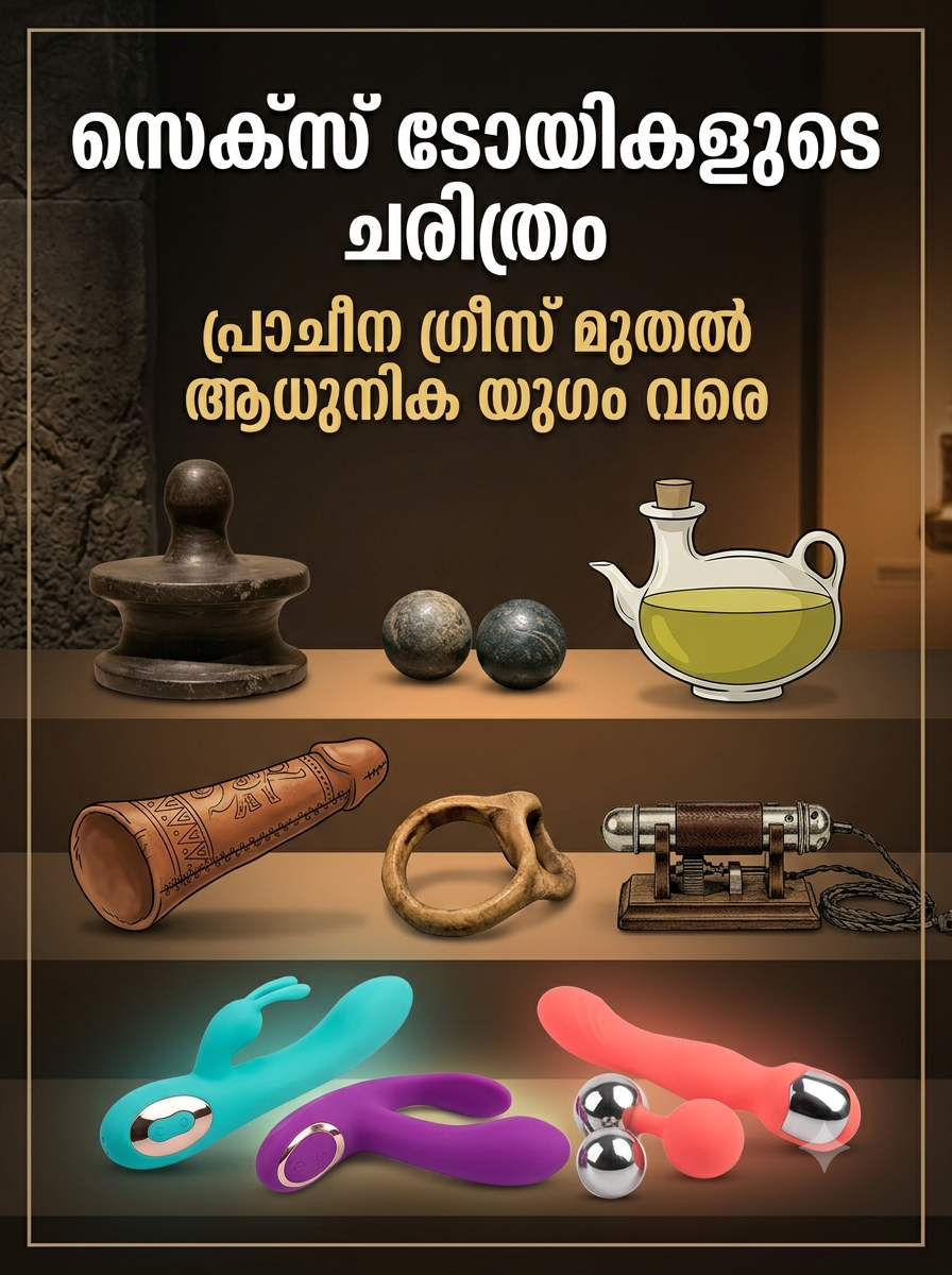 സെക്‌സ് ടോയികൾ: ദാമ്പത്യ ജീവിതം കൂടുതൽ ആസ്വാദ്യകരമാക്കാൻ ഒരു വഴികാട്ടി